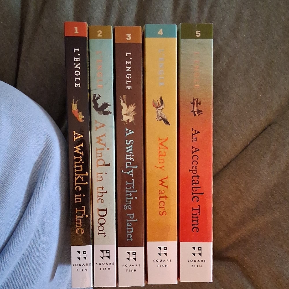 A Wrinkle In Time Book Series